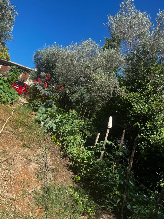 Le Mazet De Choubouloute Bed & Breakfast Сан-Жил Екстериор снимка